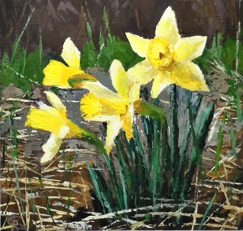 Frühlingsboten / verkauft Gelbe Narzissen wachsen zwischen grünem Gras und trockenem, braunem Laub.